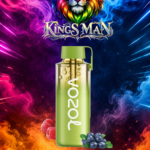 Vozol Neon 12000 Pro Puff Blueberry Sour Raspberry