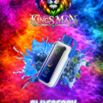 Vozol Star 20000 Puff Blueberry Storm