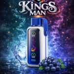 Vozol Star 20000 Puff Blueberry Storm