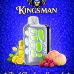 Vozol Rave 40000 Puff Peach Raspberry Lemonade