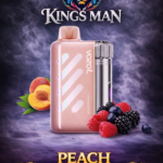 Vozol Vista 40000 Puff Peach Berry