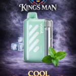 Vozol Vista 40000 Puff Cool Mint