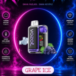 Vozol Vista 20000 Puff Grape Ice